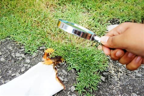 Can a magnifying glass burn paper?
